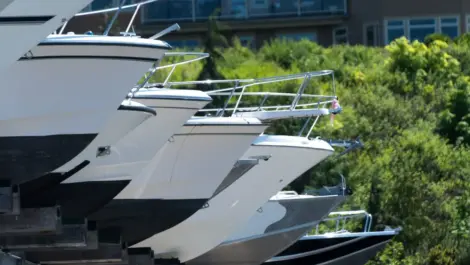 A row of boats stored outdoors with green trees and buildings behind them.